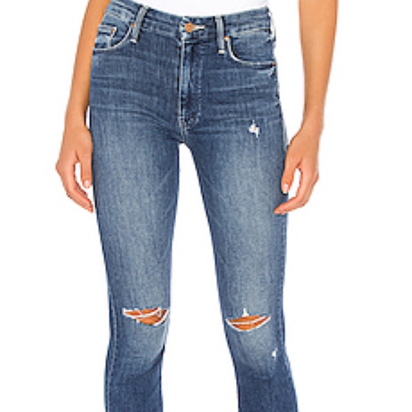 mother looker birds of paradise